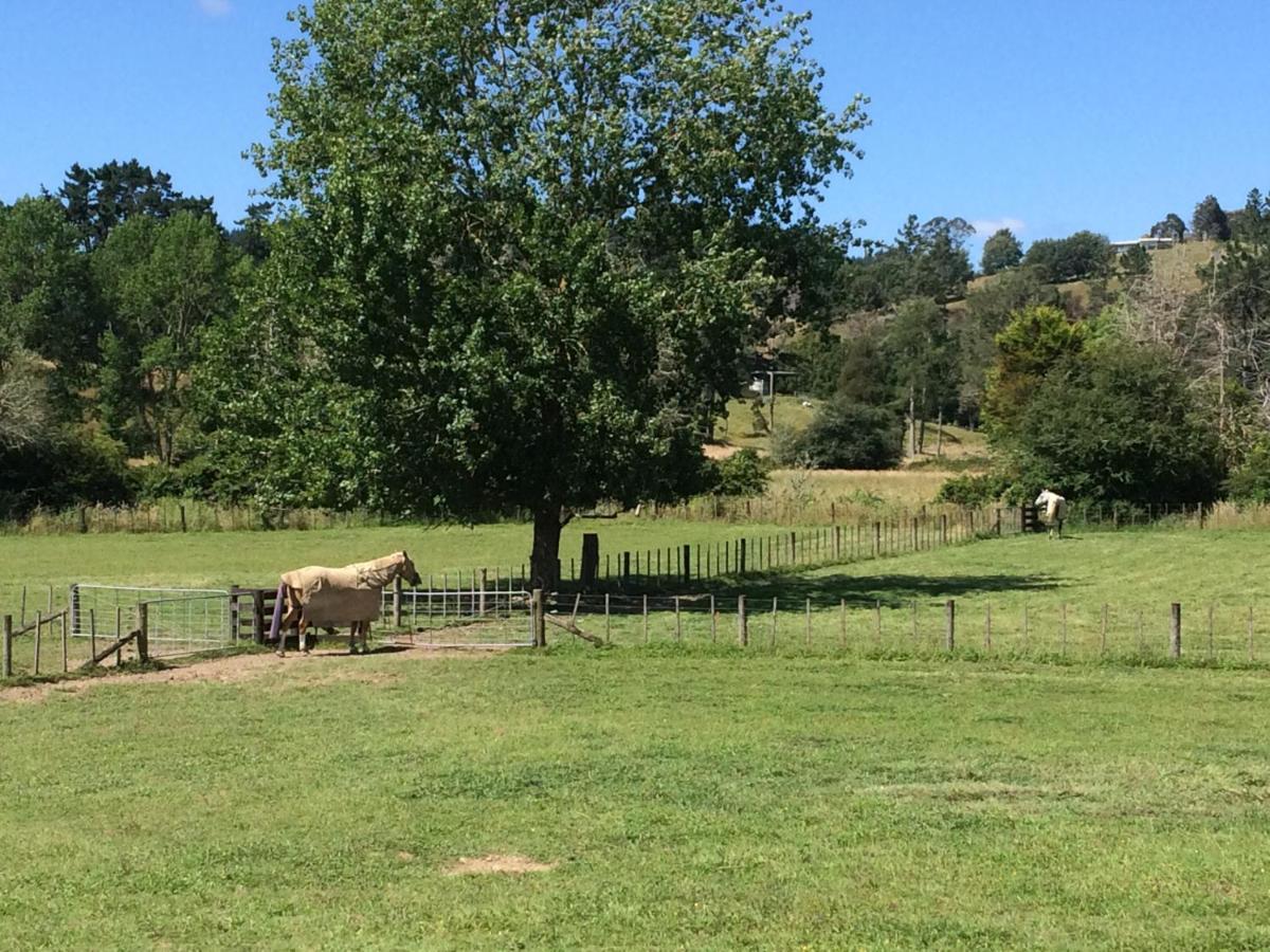 Hunua Ranges Bed and Breakfast Buitenkant foto