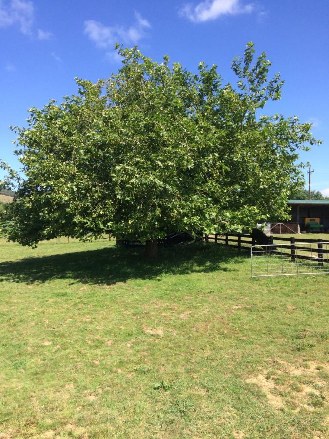 Hunua Ranges Bed and Breakfast Buitenkant foto